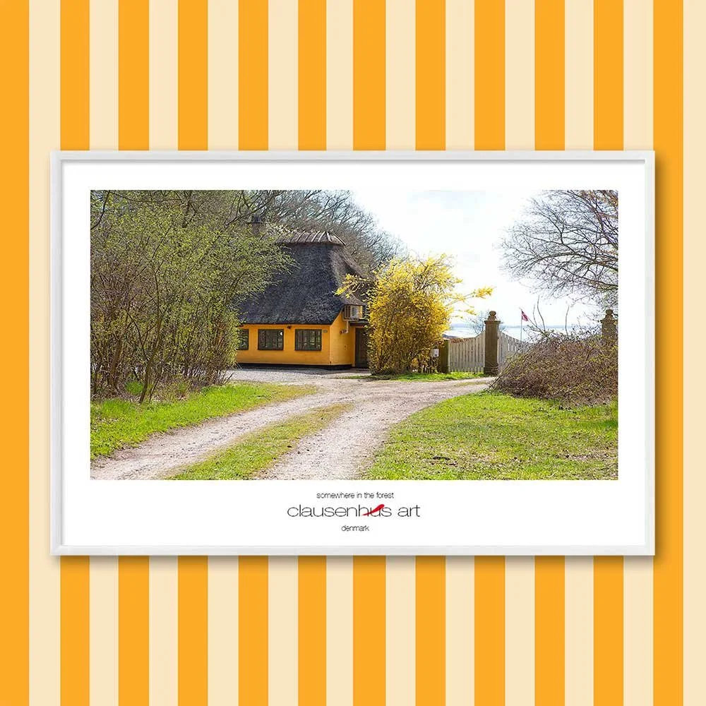 Titel: irgendwo im Wald (grafische Linie)