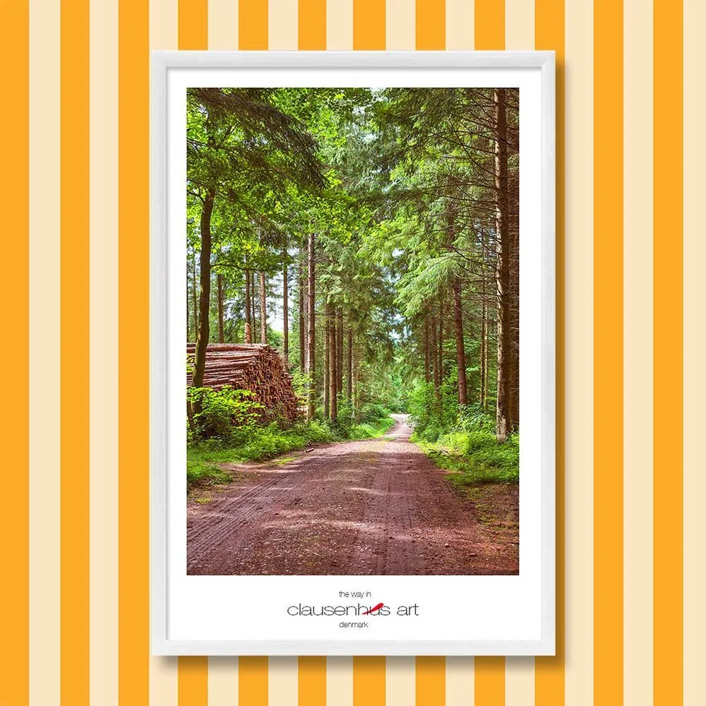 Titel: der Zugang (grafische Linie)