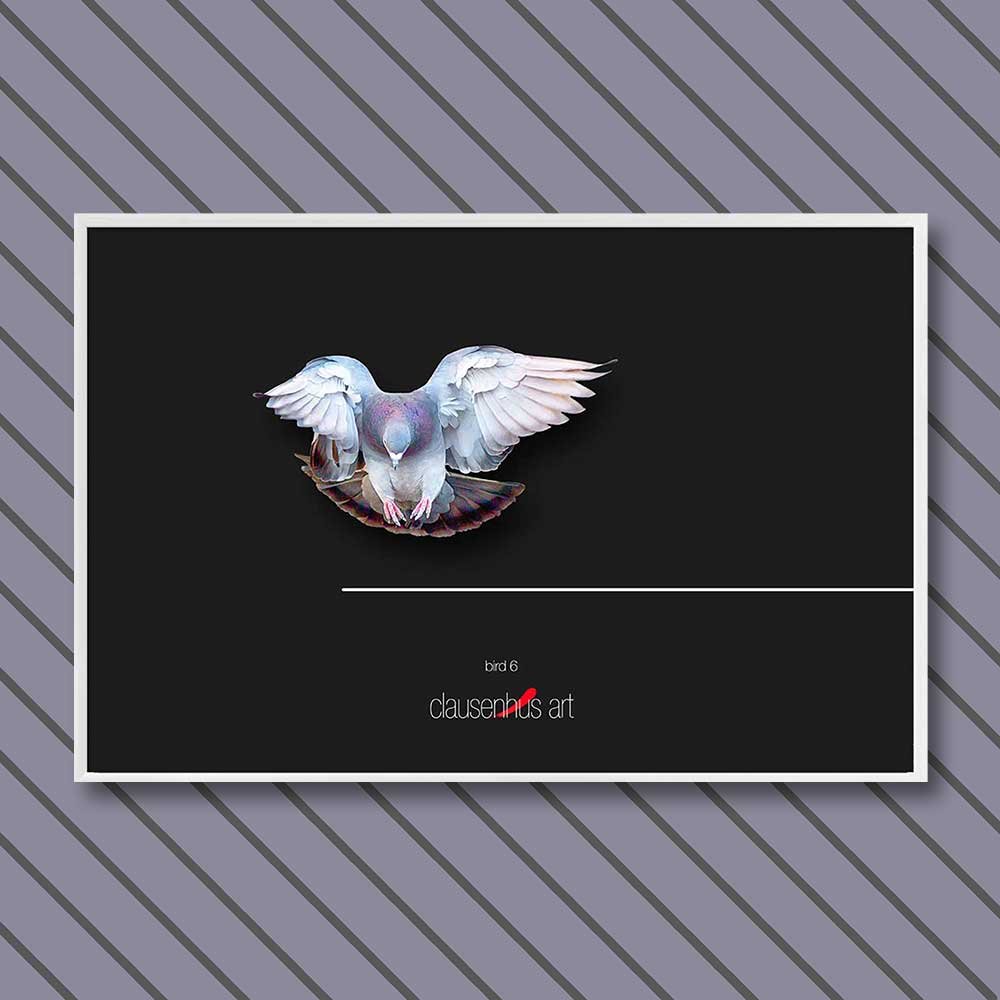 Titel: Vogel 6 (grafische Linie)