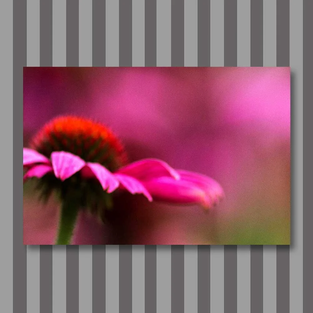 Titel: Lila Brand (Leinwand)