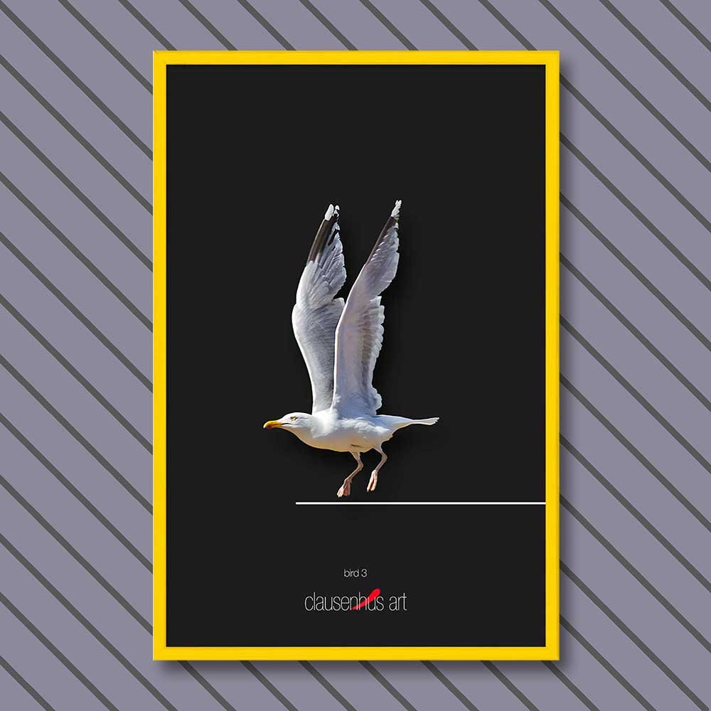 bird-3-copy.jpg