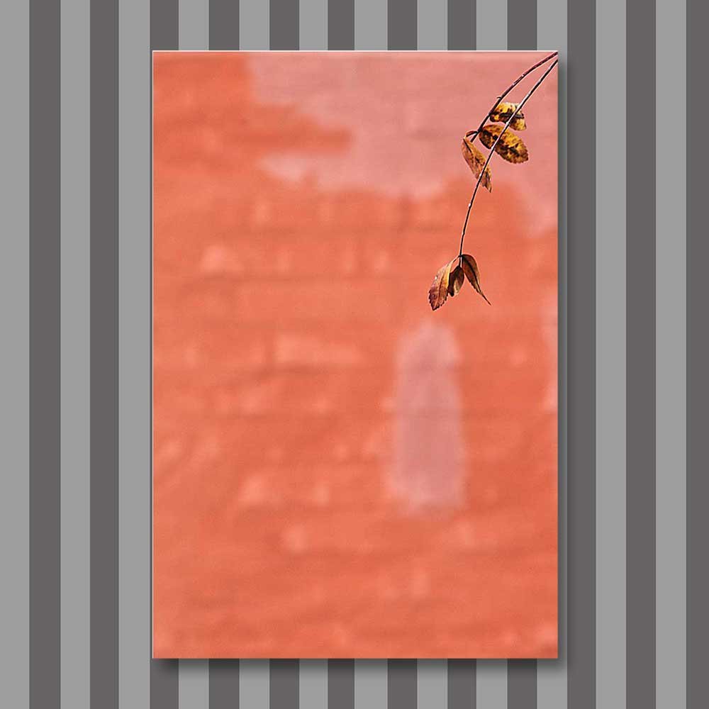 Titel: Zeit zu fallen (Leinwand)