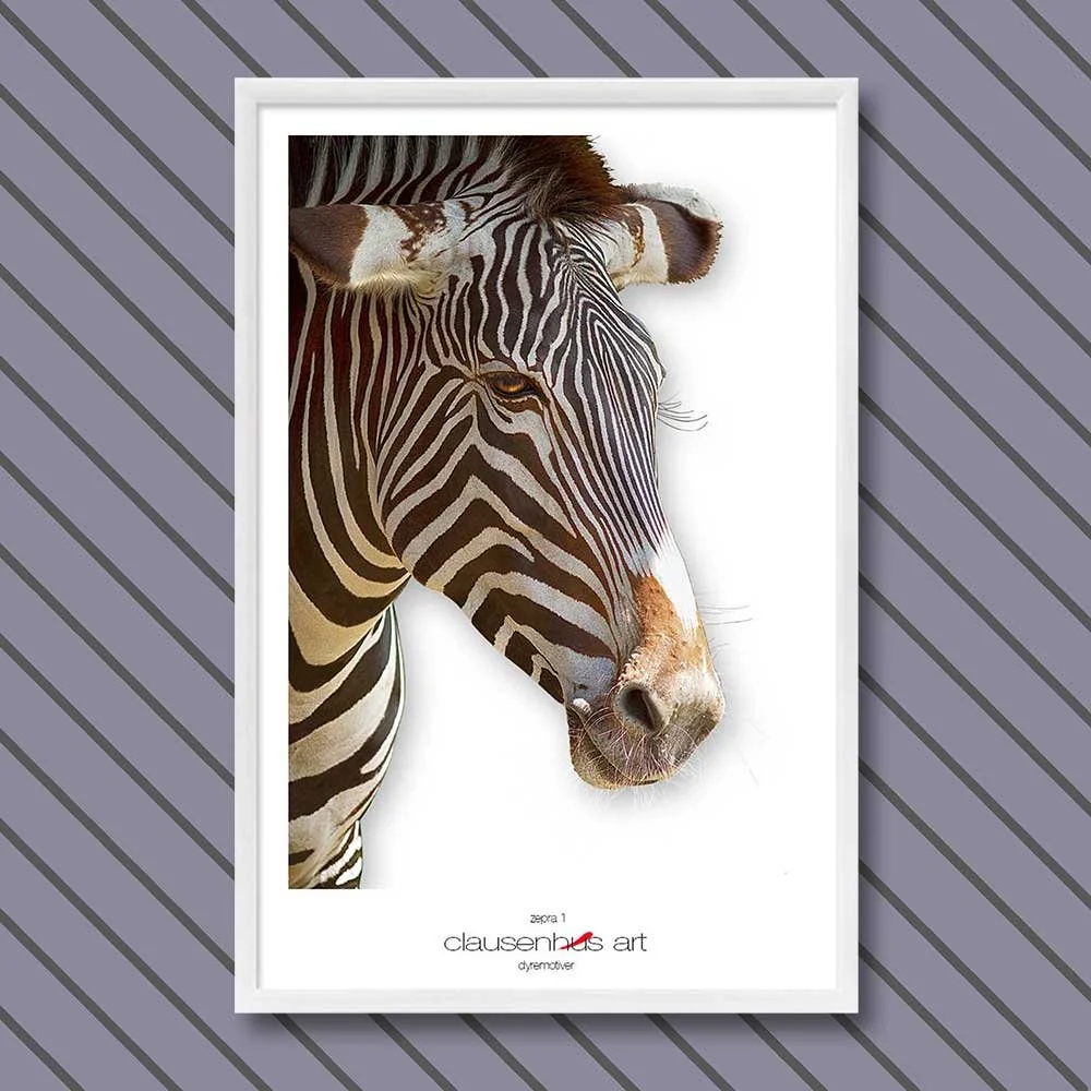 Titel: Zebra 1 (grafische Linie)