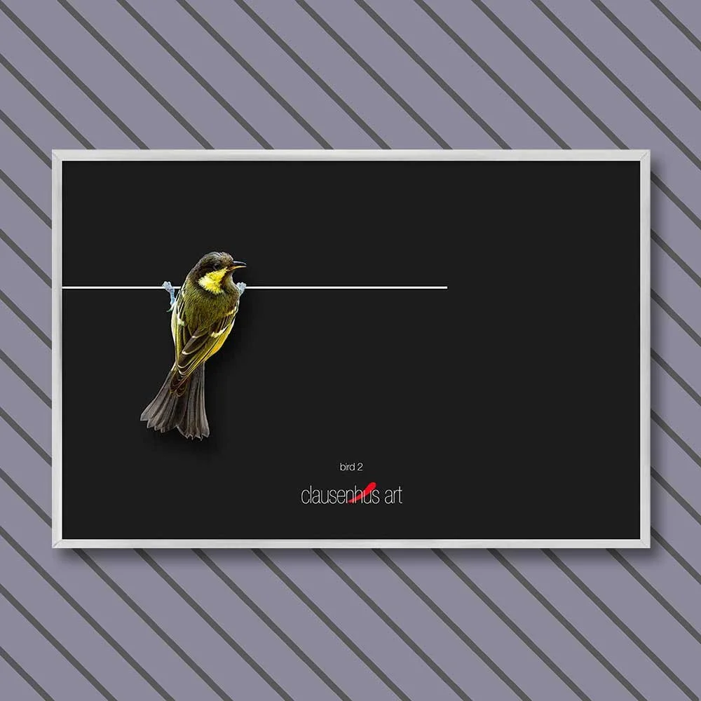 bird-2-copy.jpg