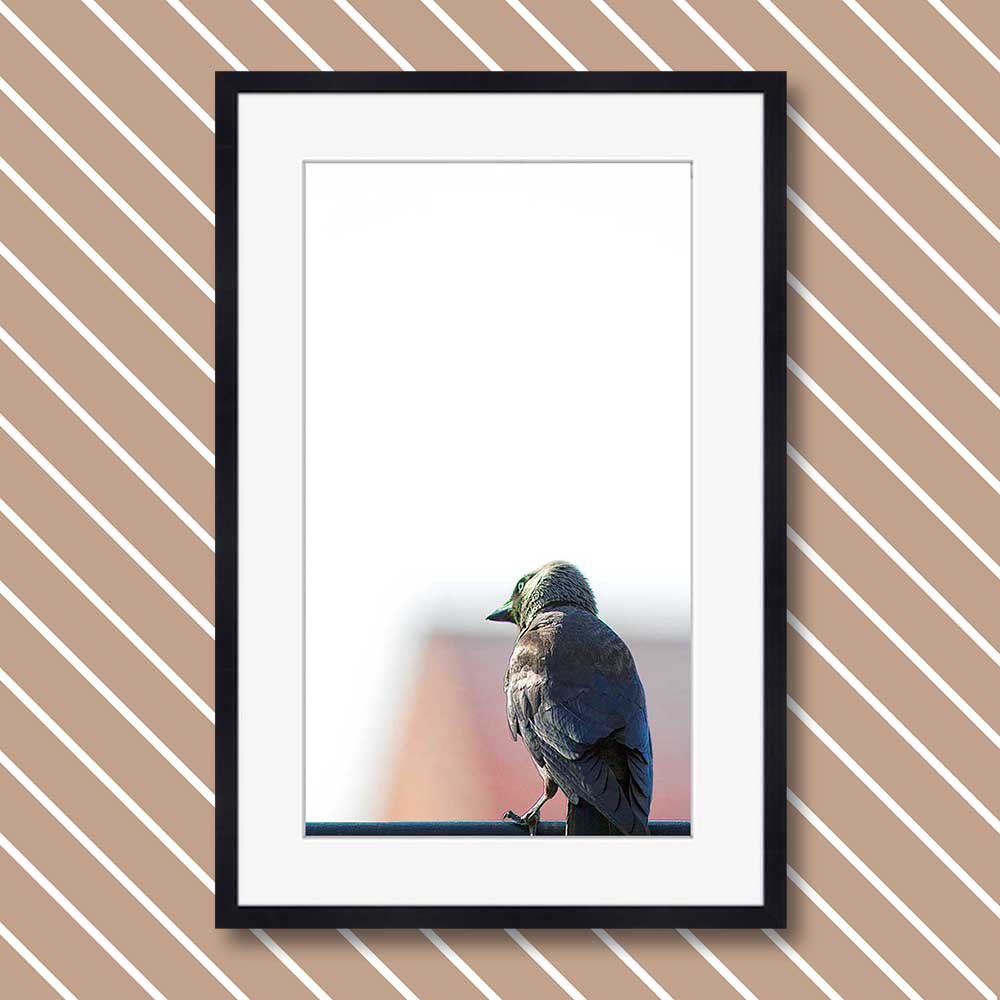 titel: ein ort mit aussicht