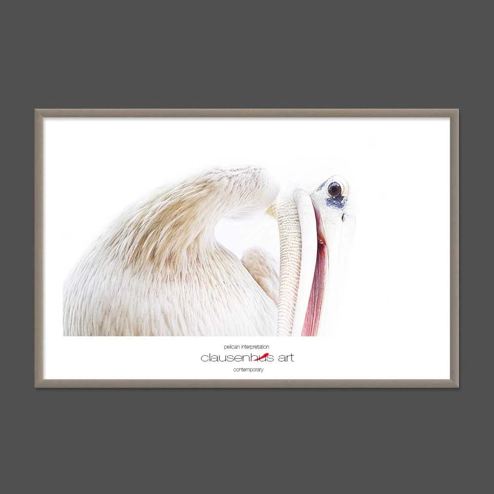 pelican-interpretation.jpg