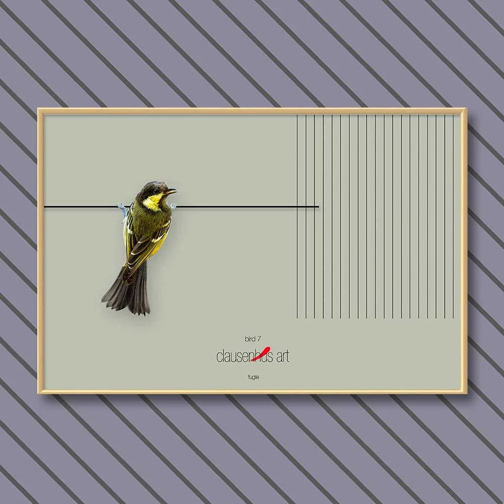 bird-7-copy.jpg