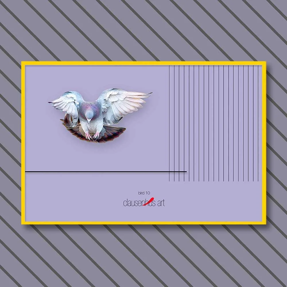 bird-10-copy.jpg