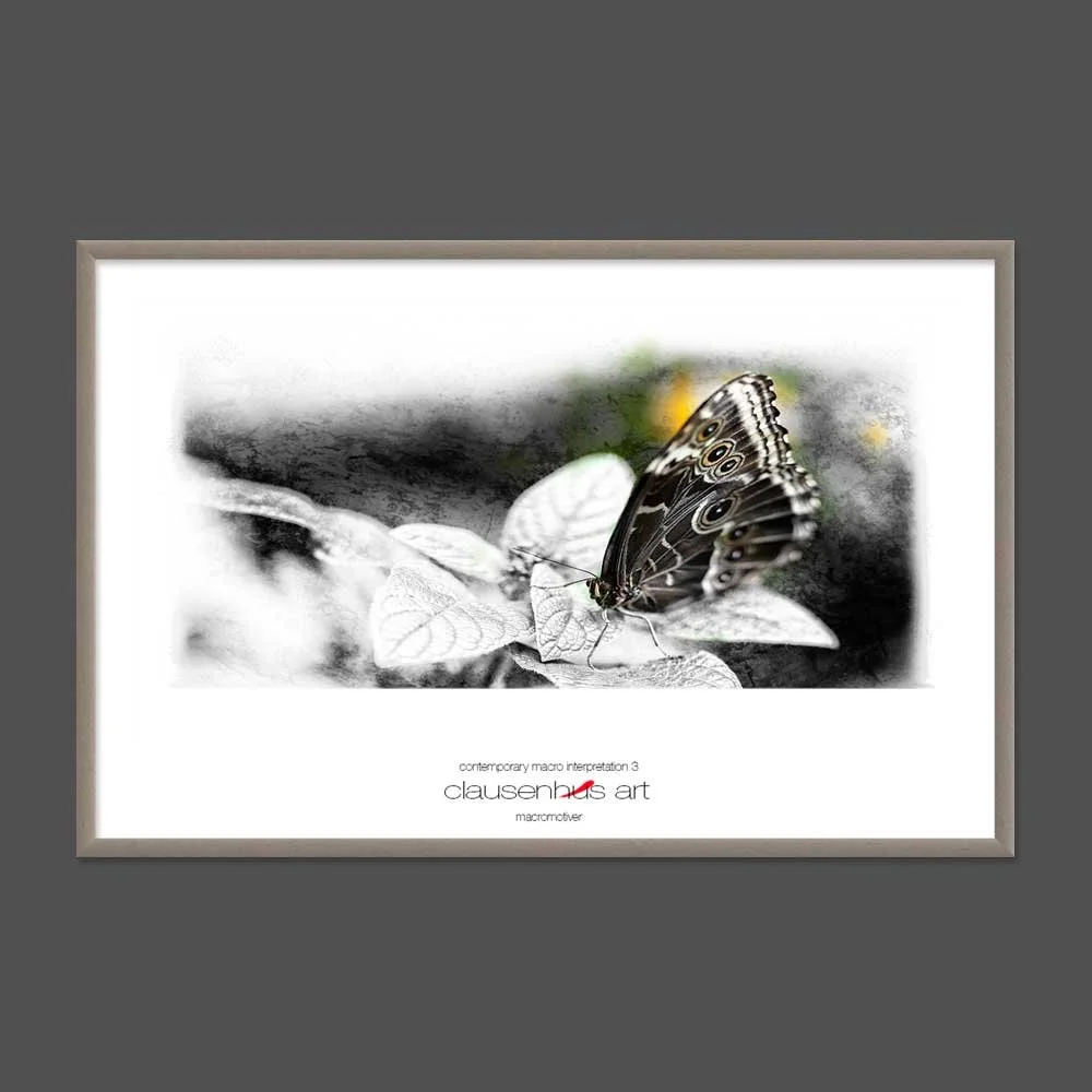 contemporary-macro-interpretation-3-copy.jpg