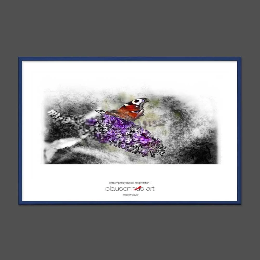 contemporary-macro-interpretation-1-copy.jpg