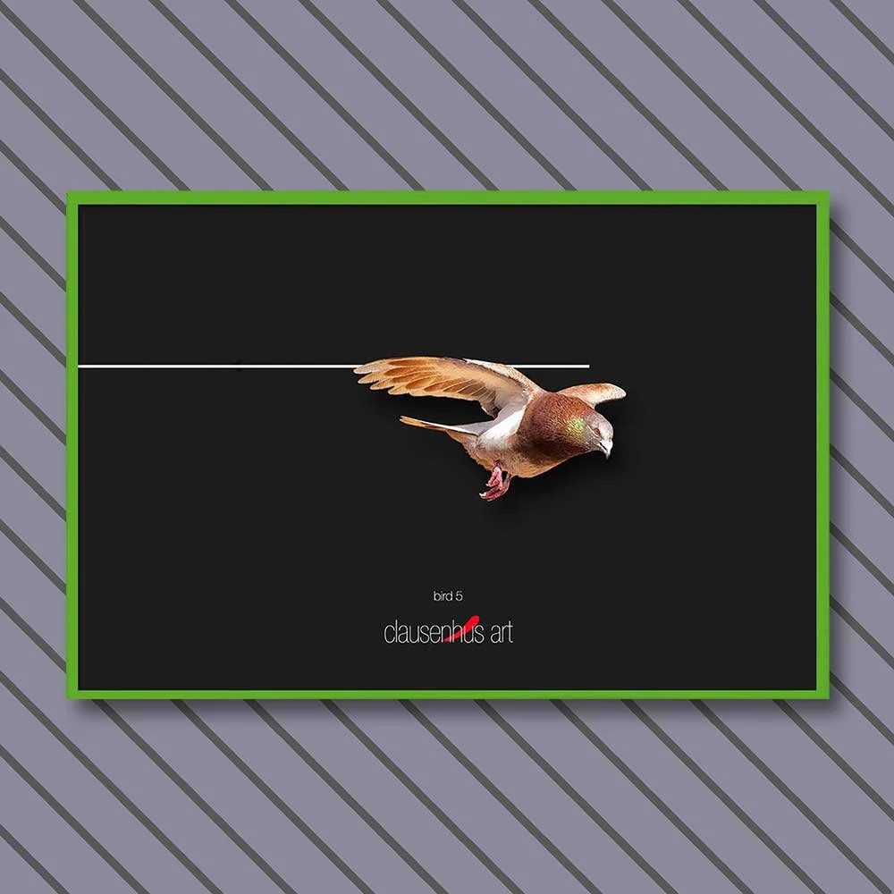bird-5-copy.jpg