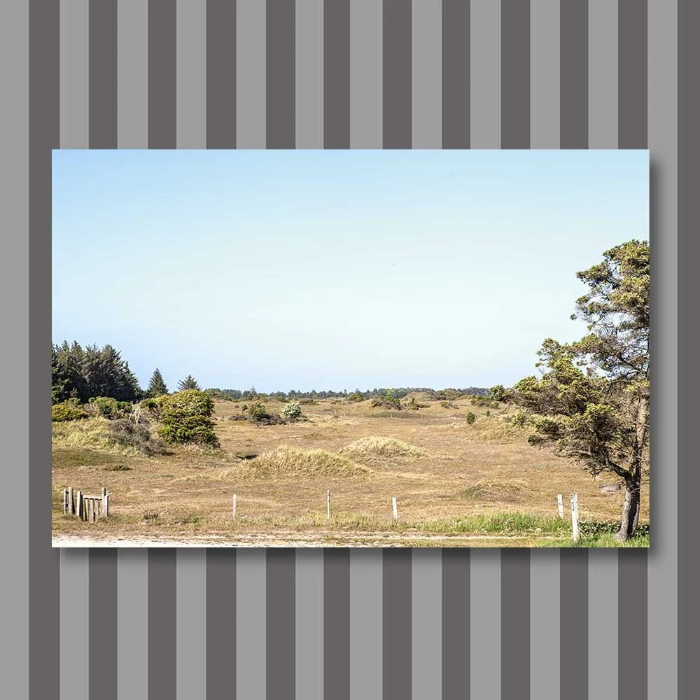 skallerup-indlandsklitter.jpg