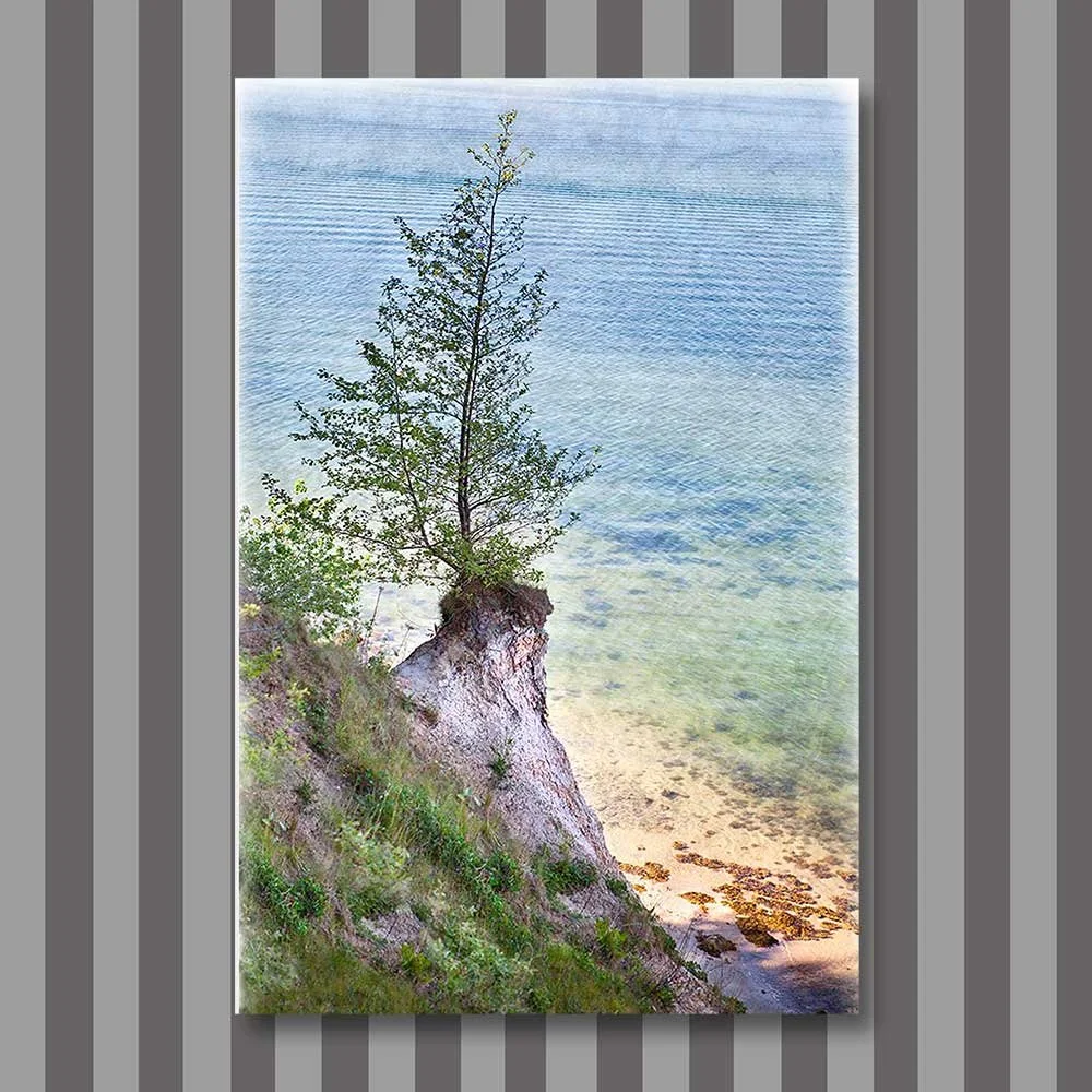 Titel: Trotz aller Widrigkeiten (Leinwand)