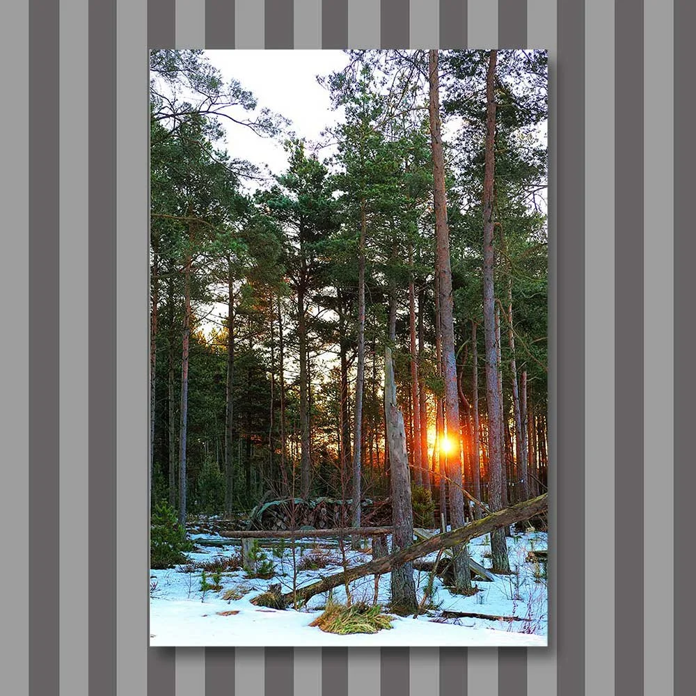 Titel: Morgensonne im Winter (Leinwand)