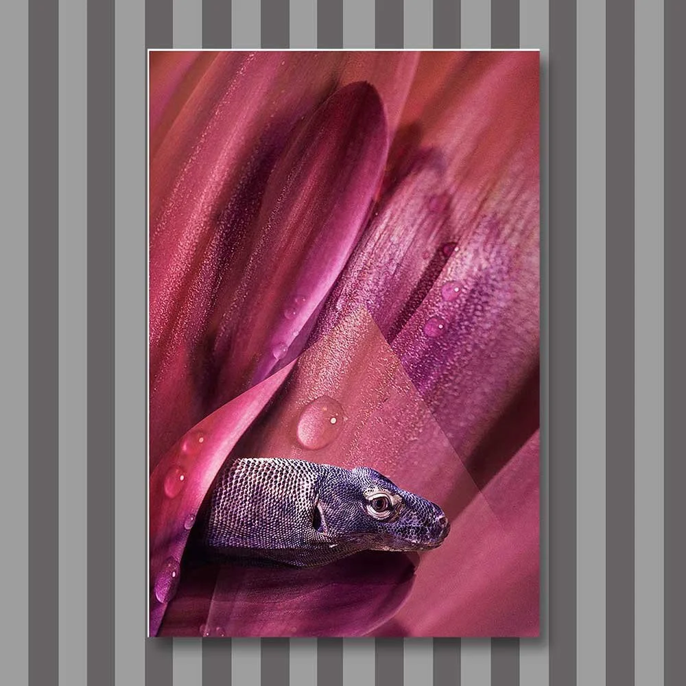 Titel: Transparenz (Leinwand)