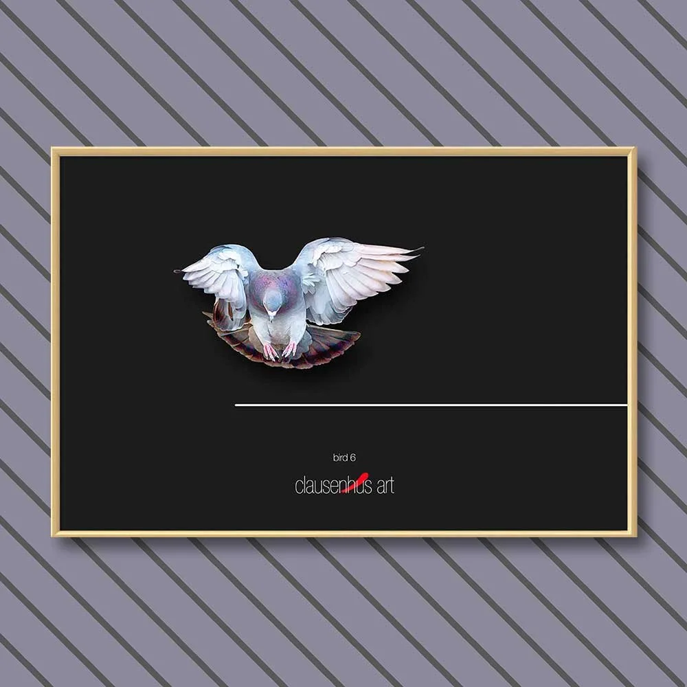 bird-6-copy.jpg
