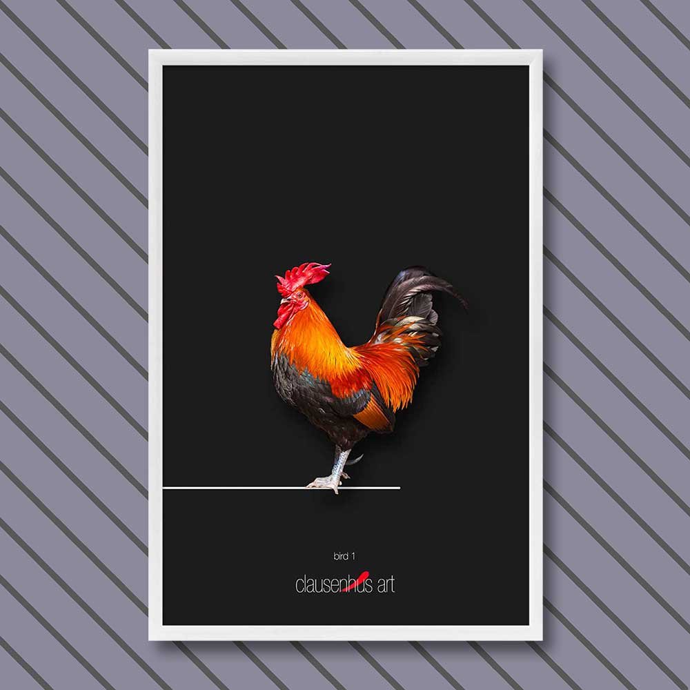 Titel: Vogel 1 (grafische Linie)