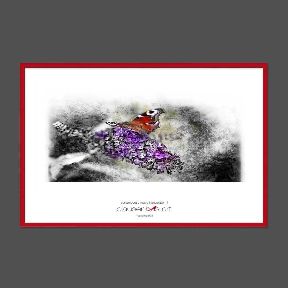 contemporary-macro-interpretation-1-copy.jpg