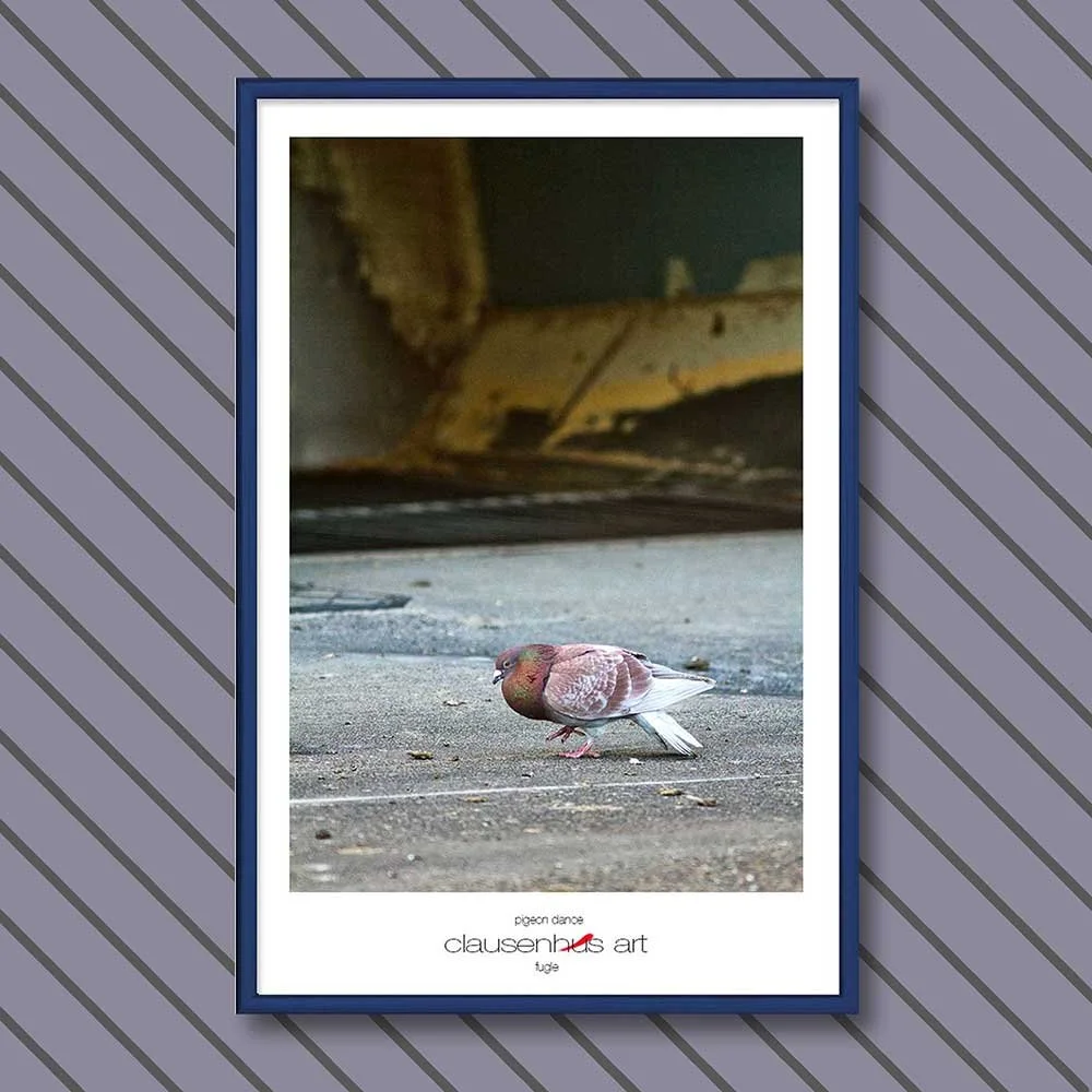 pigeon-dance-copy.jpg