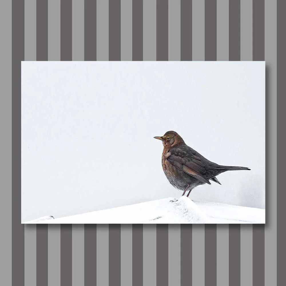 cold-feet.jpg