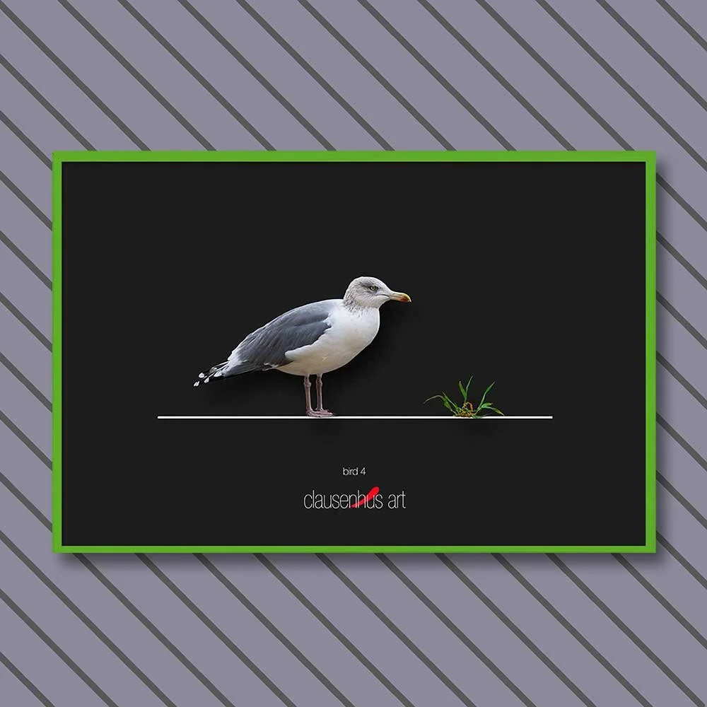 bird-4-copy.jpg