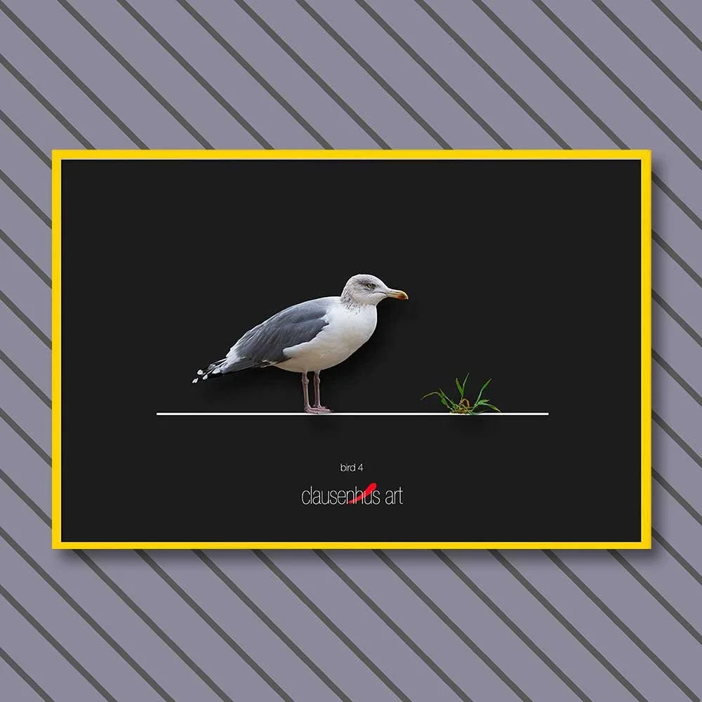 bird-4-copy.jpg
