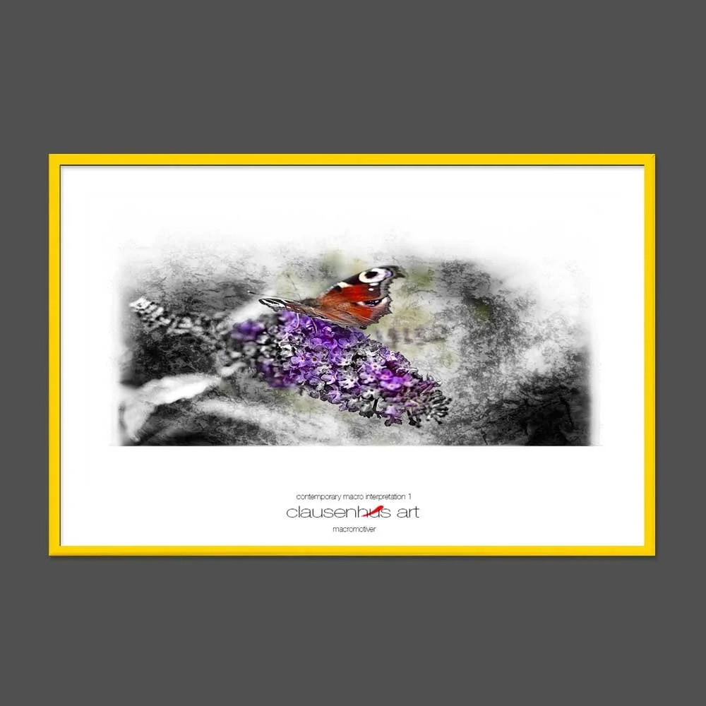 contemporary-macro-interpretation-1-copy.jpg