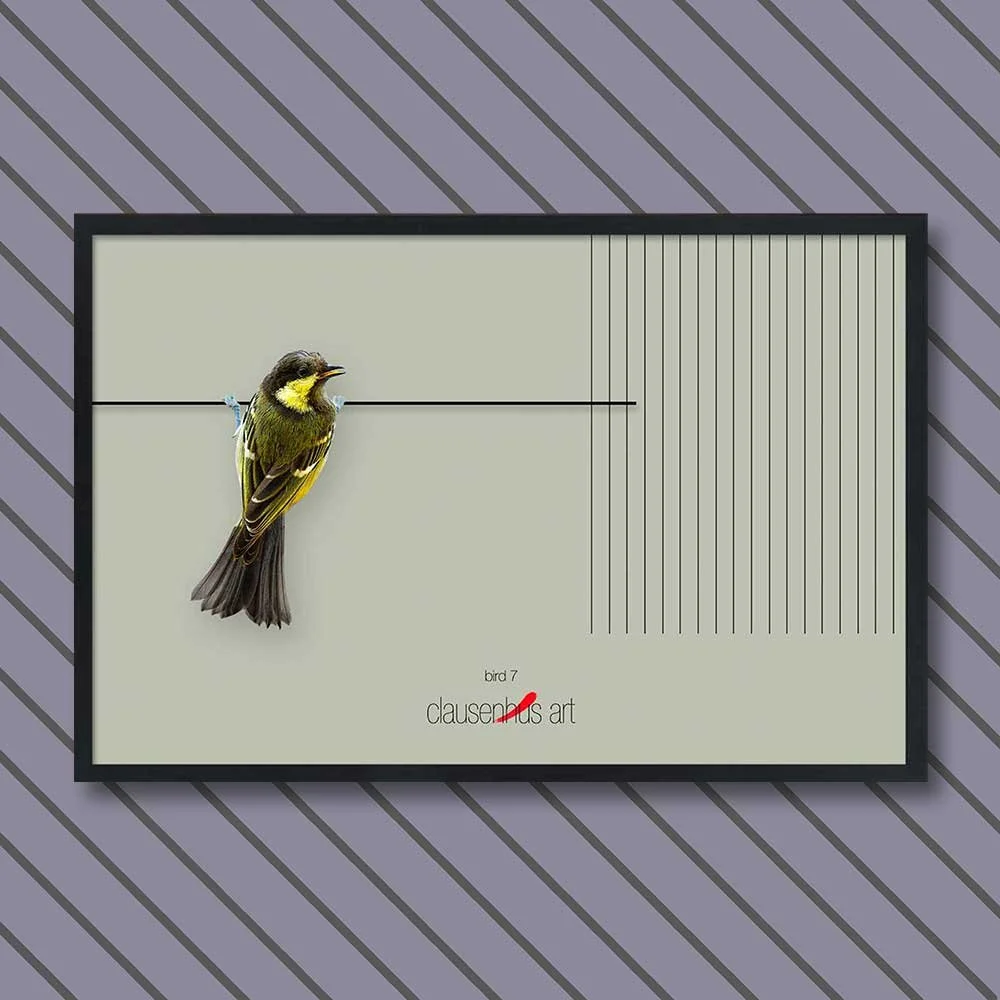 bird-7.jpg