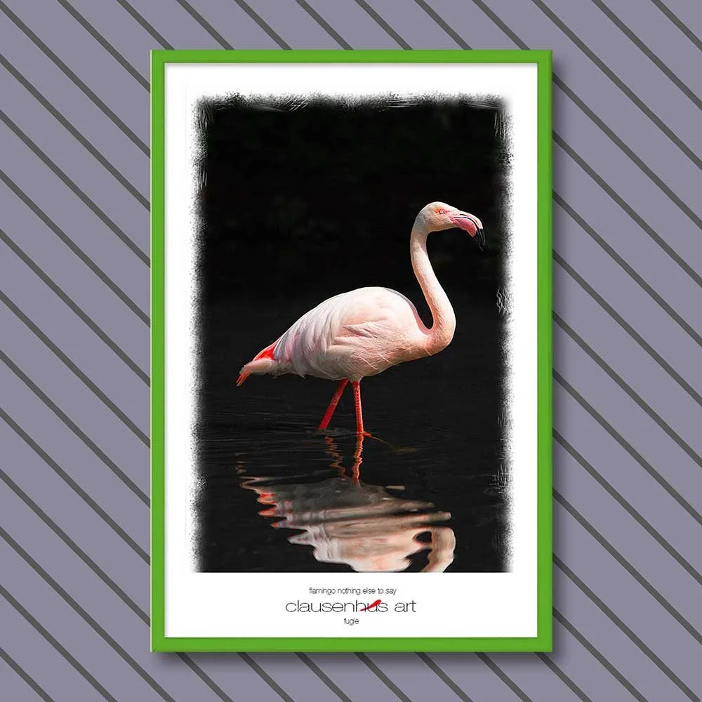 flamingo-nothing-else-to-say.jpg