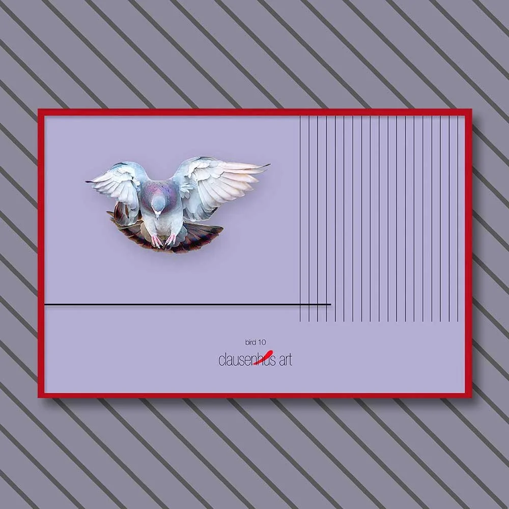 bird-10-copy.jpg