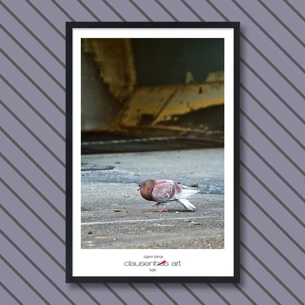 pigeon-dance-copy.jpg