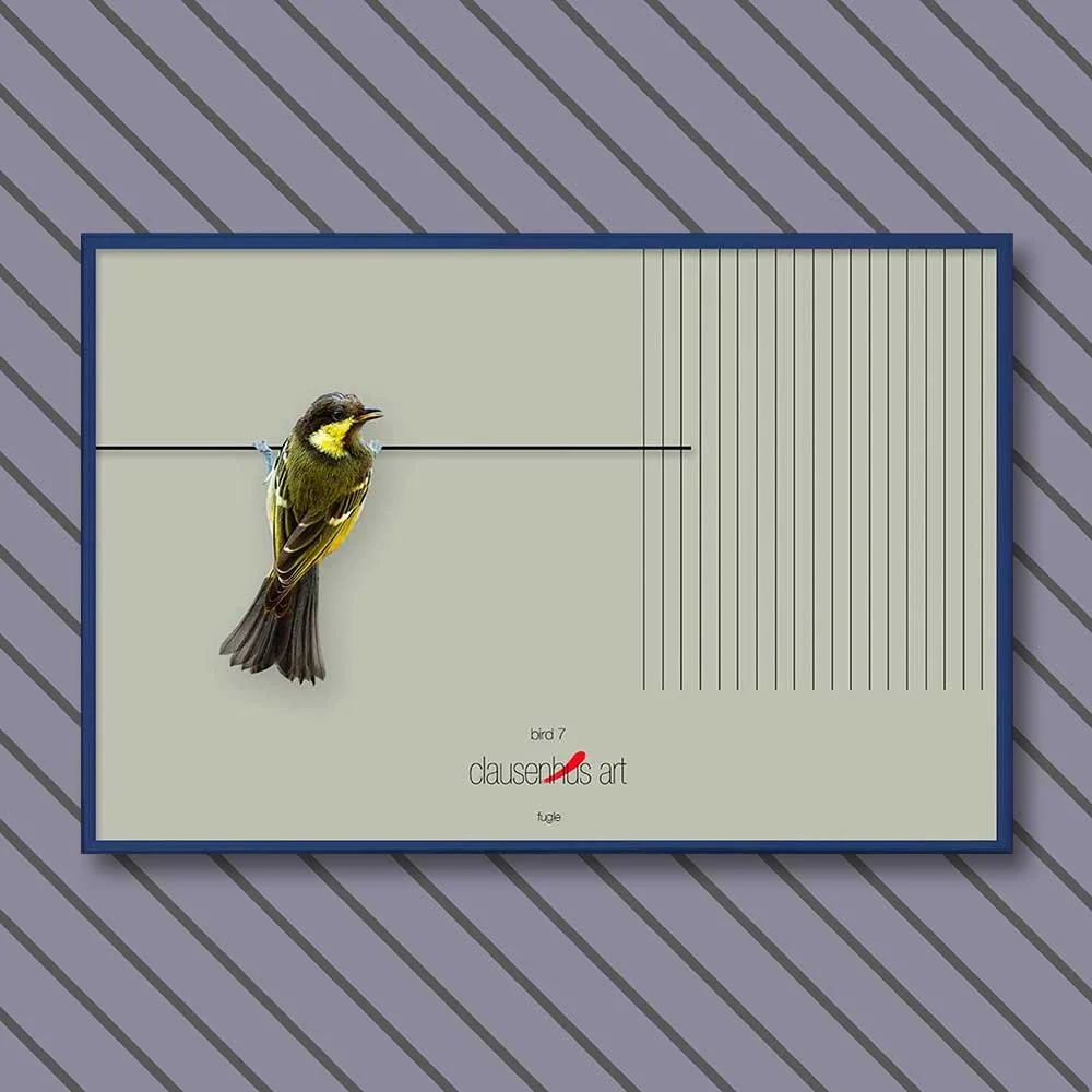 bird-7-copy.jpg