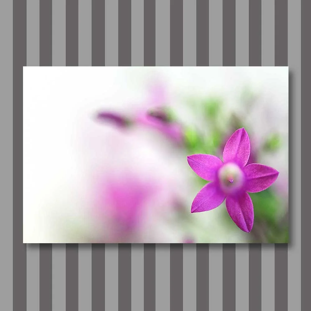 Titel: Dichtes Makro (Leinwand)