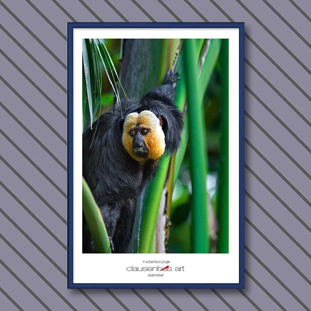 in-a-bamboo-jungle-copy.jpg