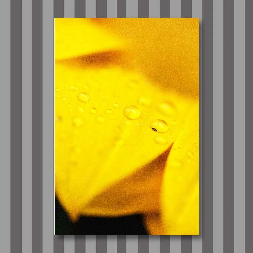 Titel: Lebensspendend (Leinwand)