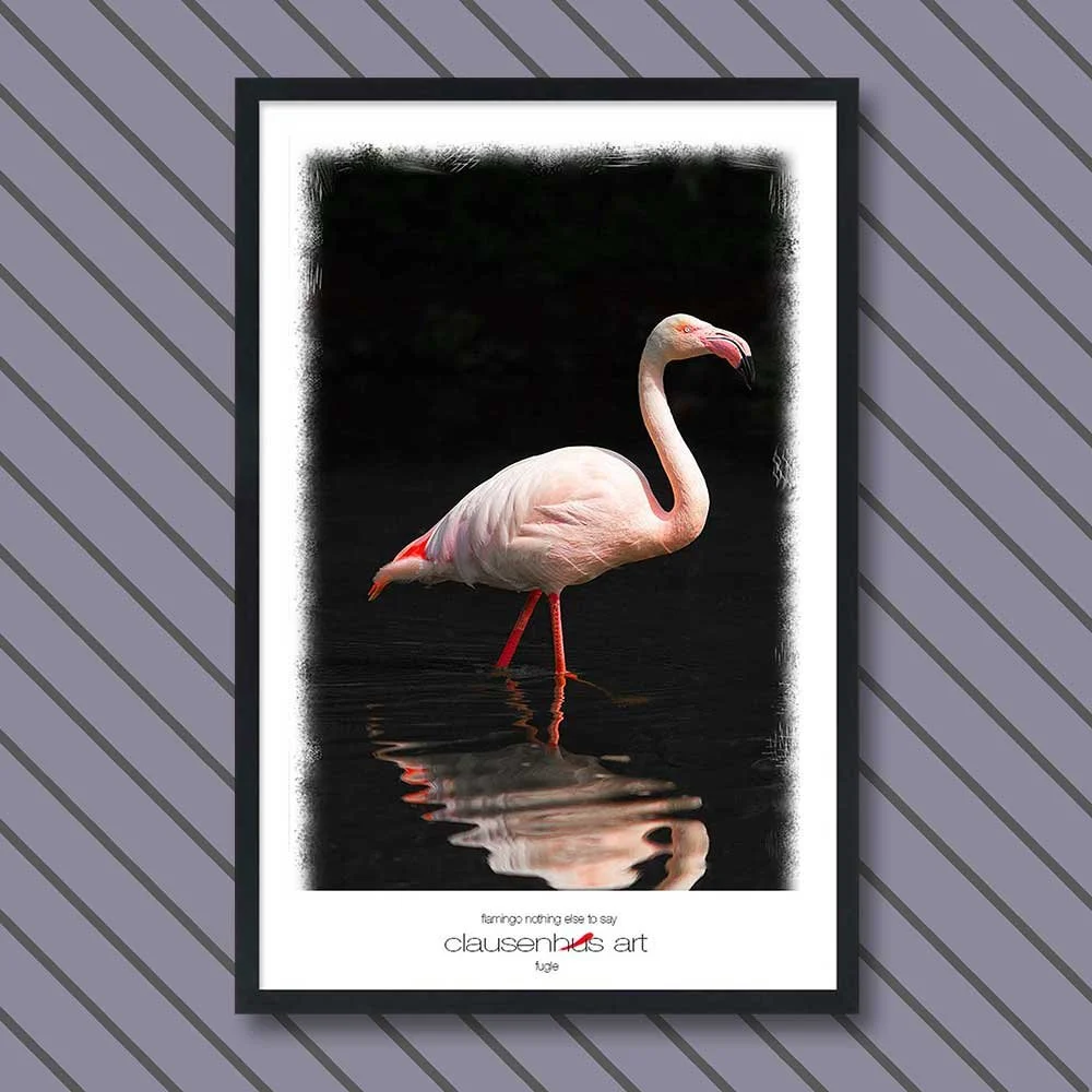 flamingo-nothing-else-to-say-copy.jpg
