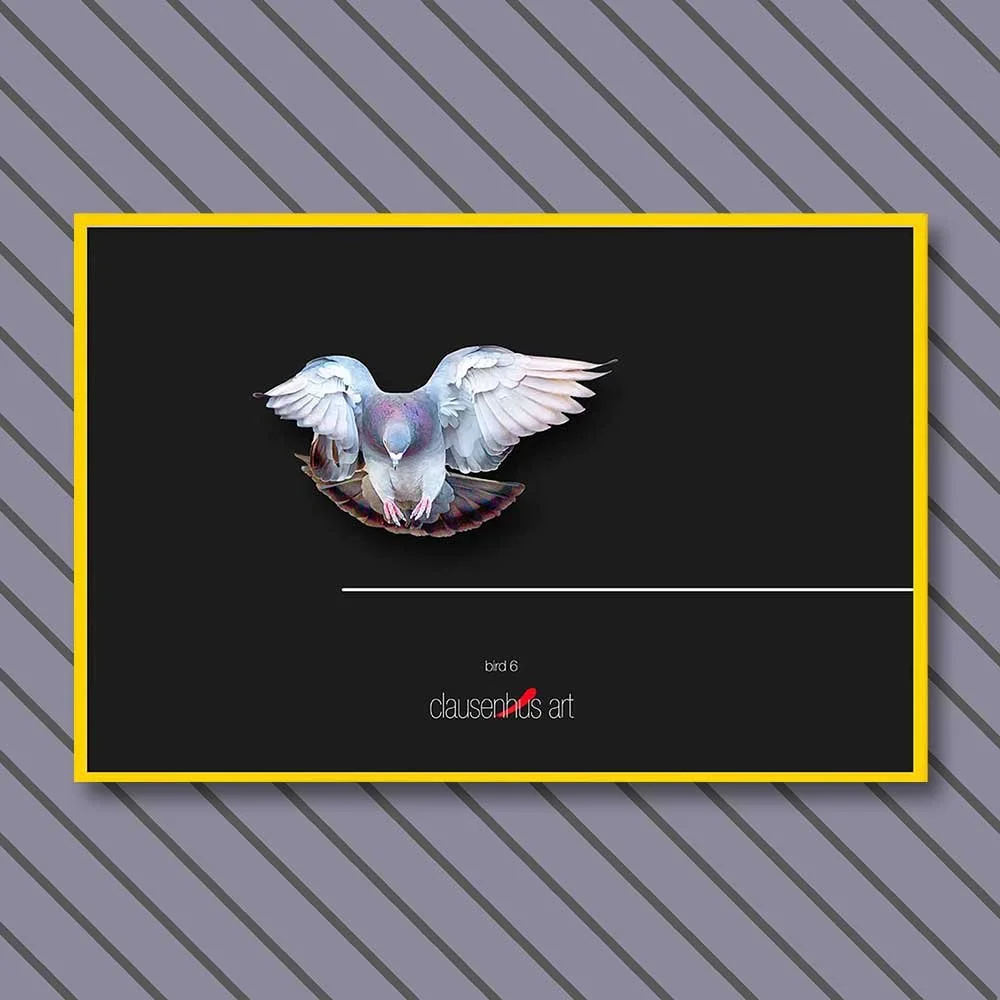 bird-6-copy.jpg