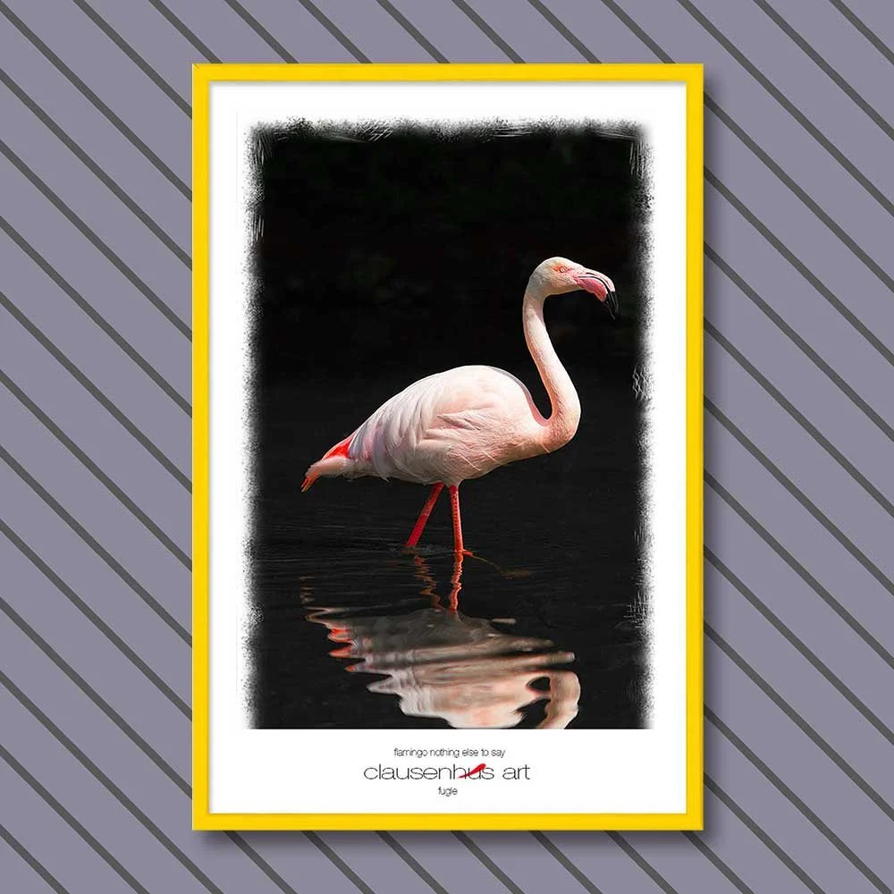 flamingo-nothing-else-to-say.jpg