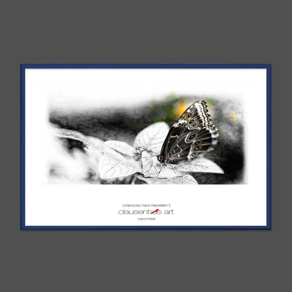 contemporary-macro-interpretation-3-copy.jpg