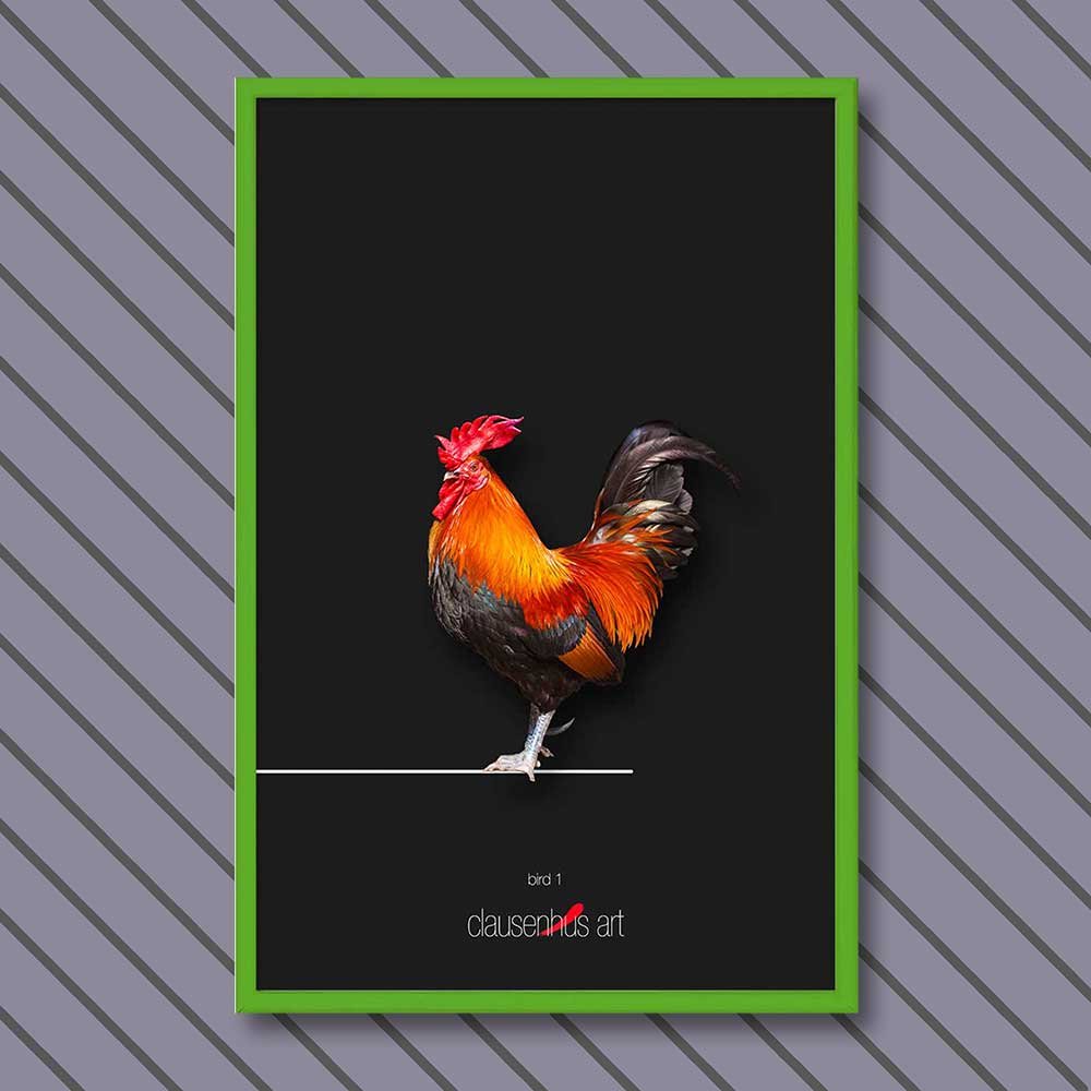 bird-1-copy.jpg