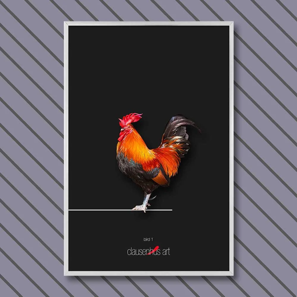 bird-1-copy.jpg