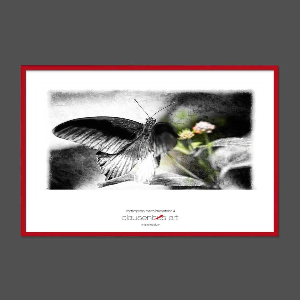 contemporary-macro-interpretation-4-copy.jpg