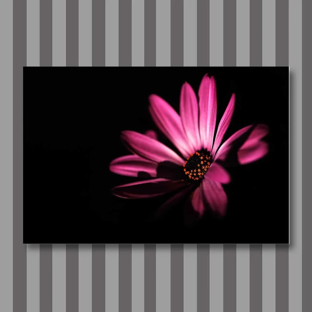Titel: Drachenlady (Leinwand)