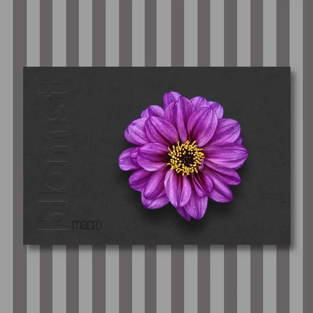 Titel: Blume 12 (Leinwand)