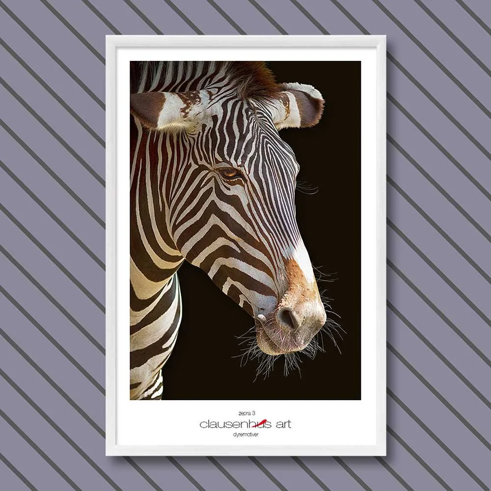 Titel: Zebra 3 (grafische Linie)