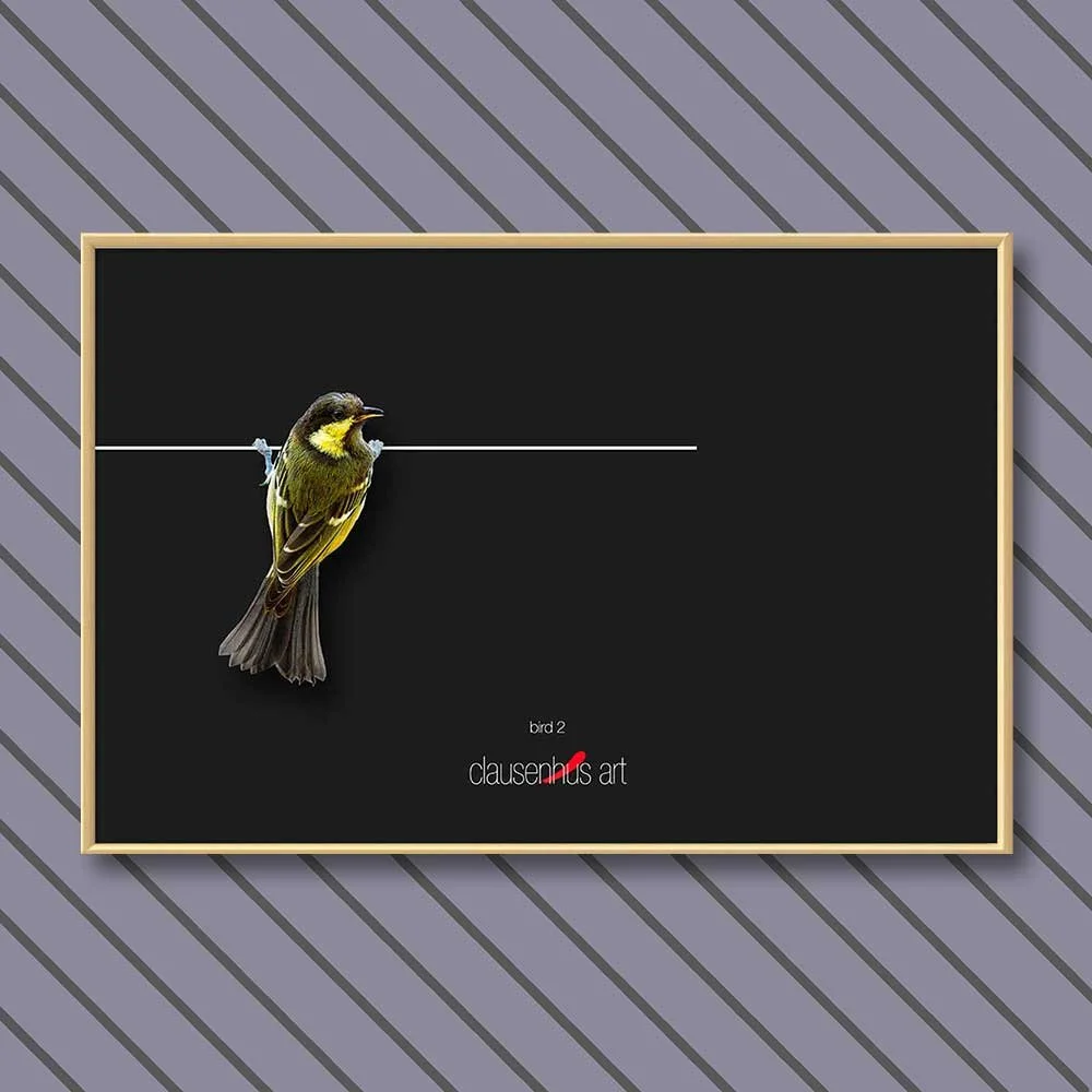 bird-2-copy.jpg