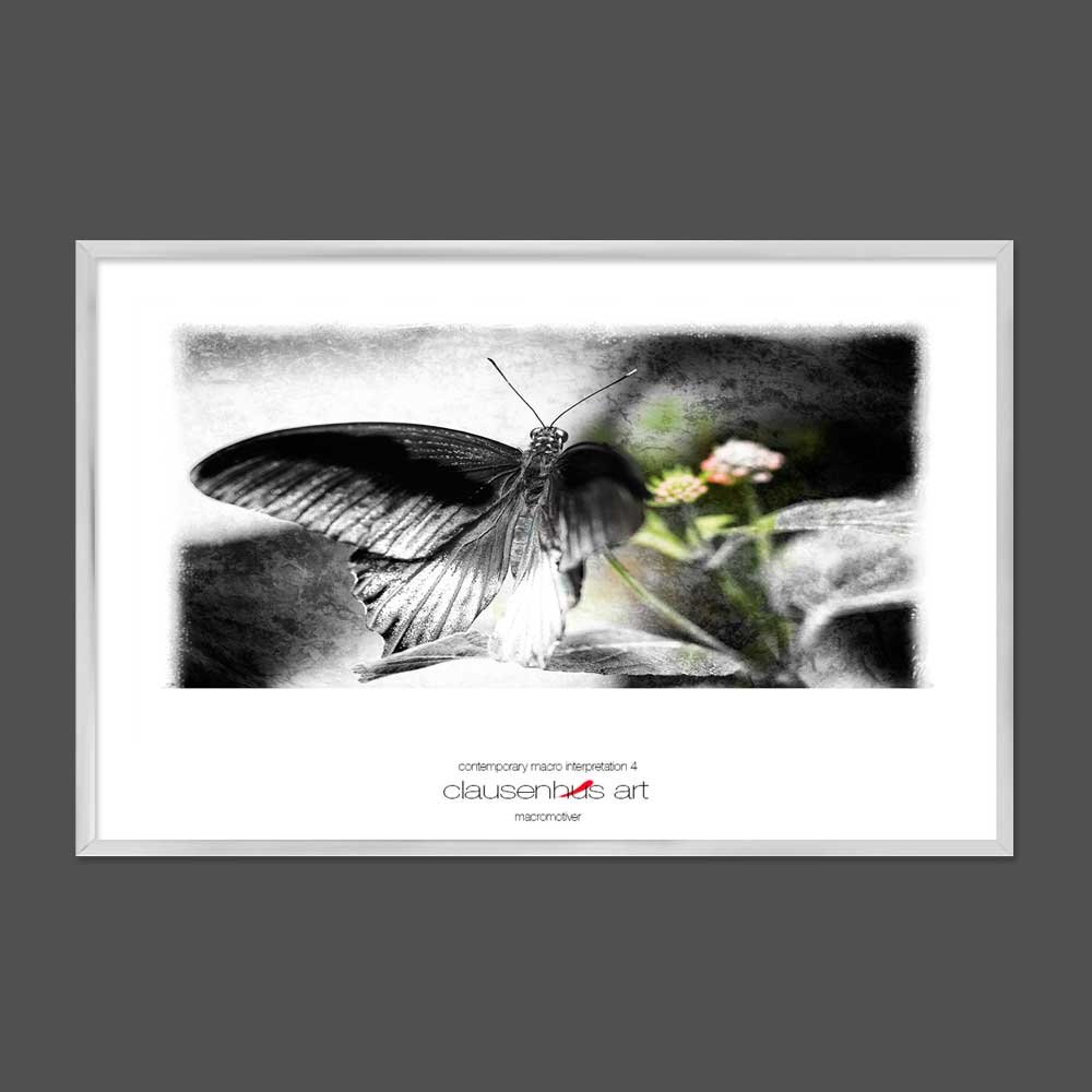 contemporary-macro-interpretation-4-copy.jpg