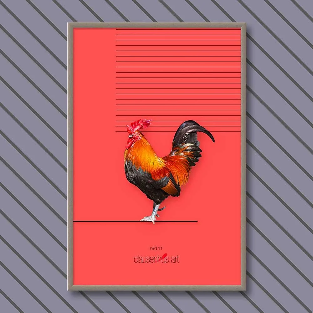 bird-11-copy.jpg