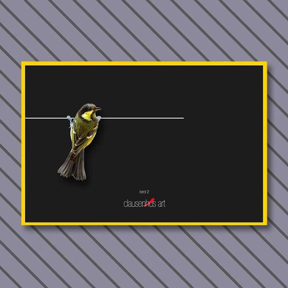 bird-2-copy.jpg