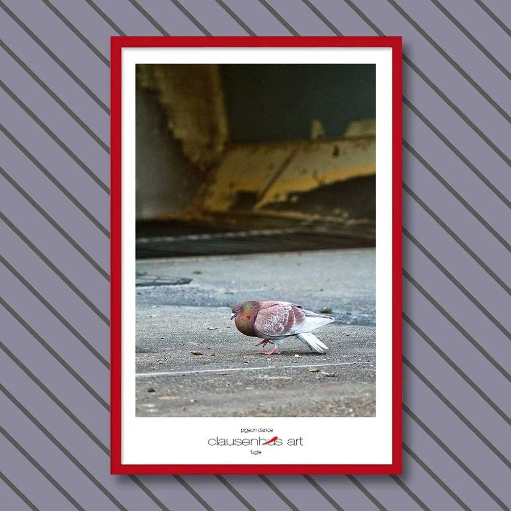 pigeon-dance-copy.jpg